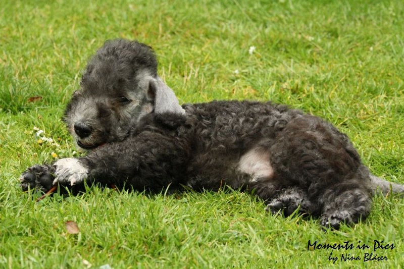 Antares 2009-07-12 (42).JPG